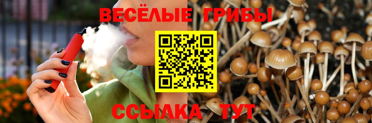Ишим  Галлюциногенные грибы прущие грибы  Вход с VPN 