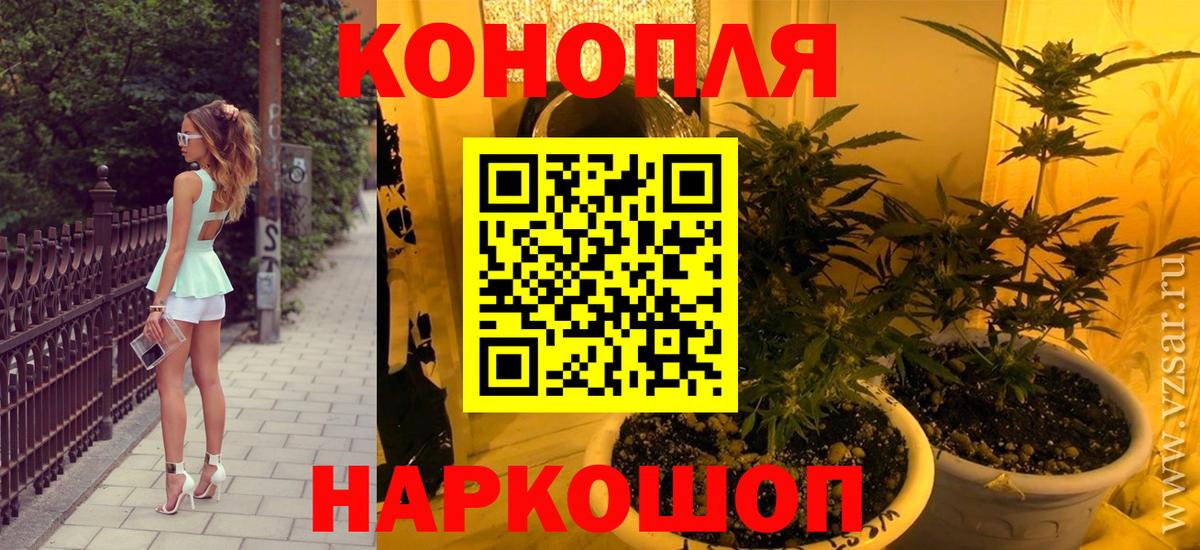 Бошки марихуана Amnesia Ишим